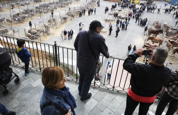 p._06_fira_bestiar_-_facundo_santana