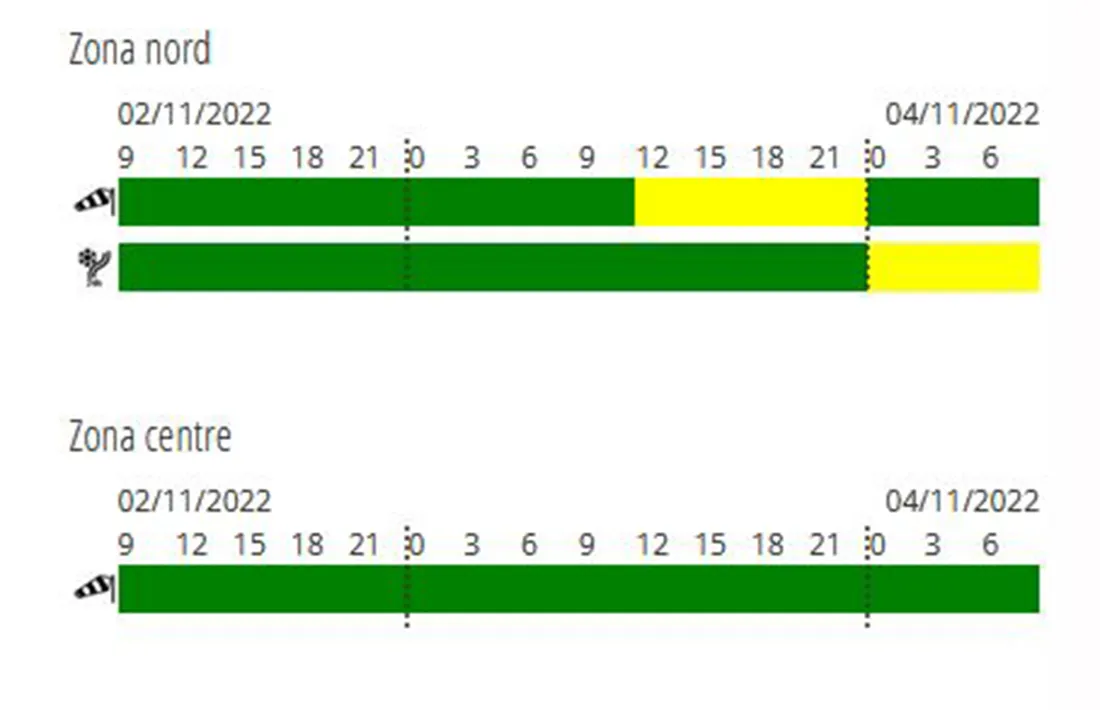 L'avís per vent i neu de cara a demà i divendres.