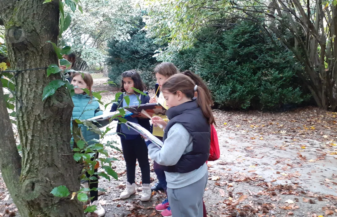 L'activitat, en curs. 