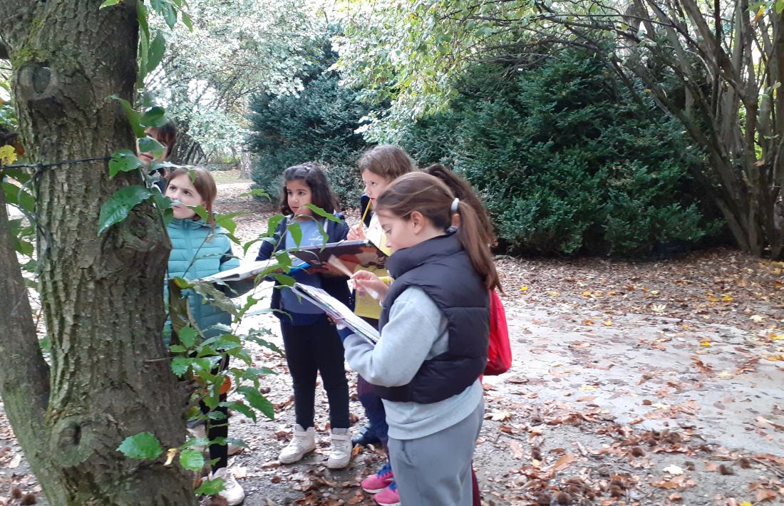 L'activitat, en curs. 