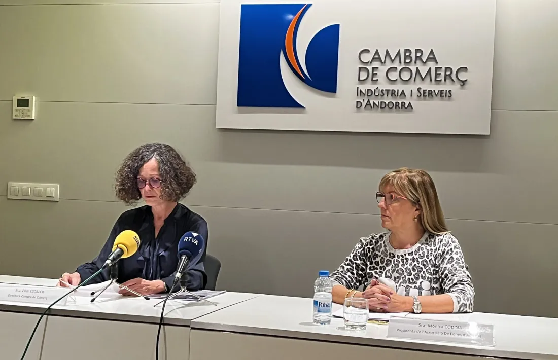 El manual s'ha presentat aquest matí a la seu de la Cambra.