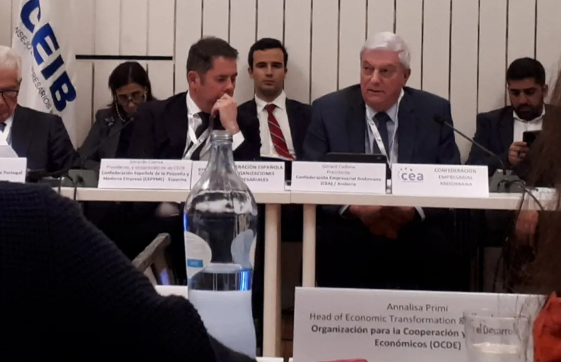 Gerard Cadena durant la seva intervenció.