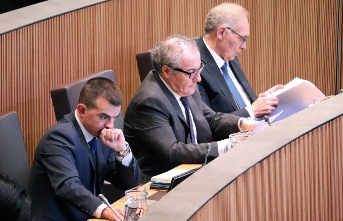 Els consellers generals de Terceravia.