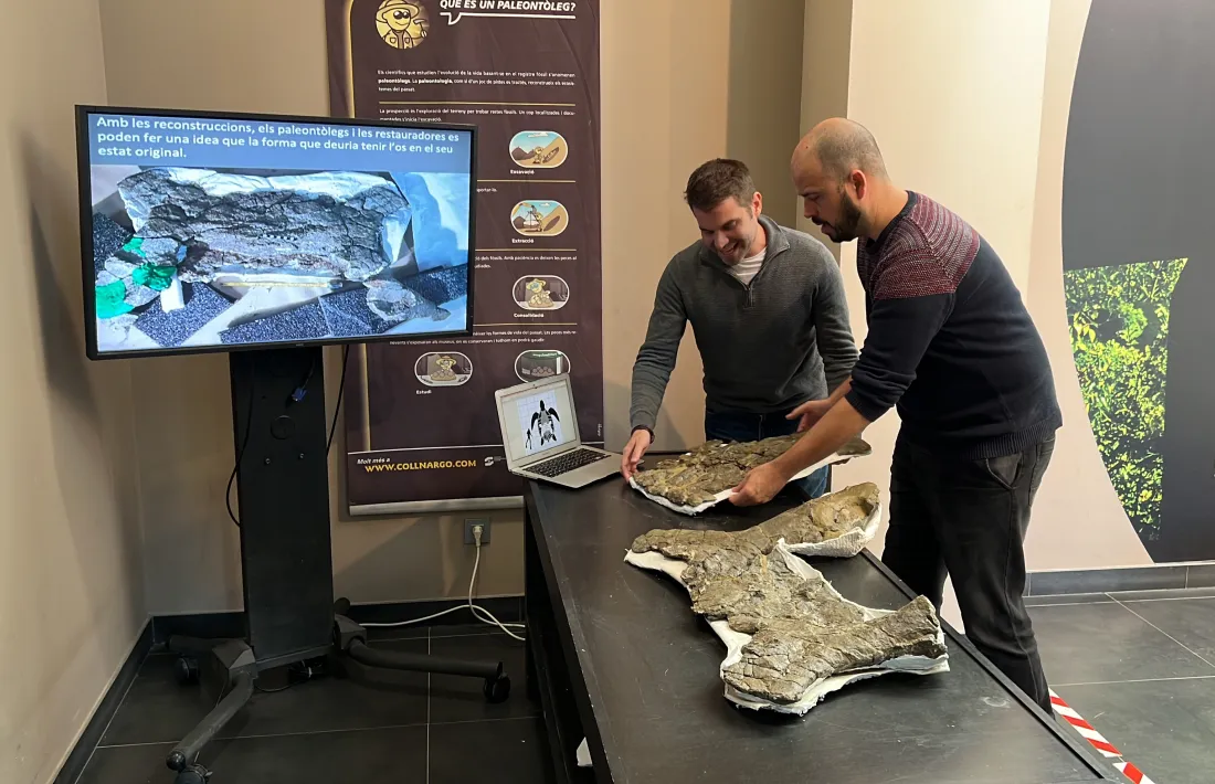 Dos dels investigadors de l’ICP mostren les restes de l’espècimen. 