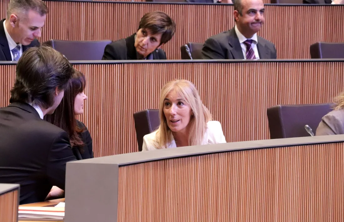 El grup parlamentari demòcrata en la darrera sessió del Consell General.