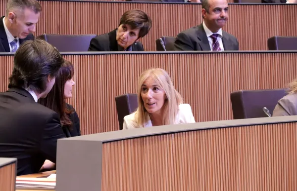 p._07_grup_parlamentari_democrata