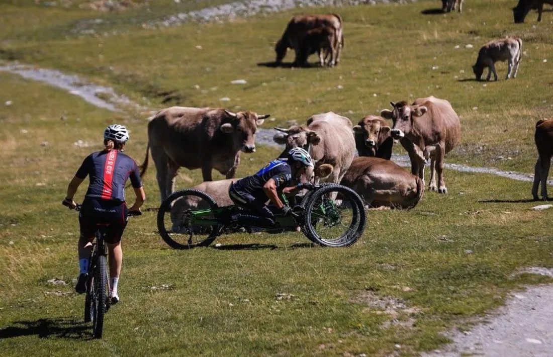 Margot Llobera i Albert Llovera, entrenant-se per Envalira al costat de les vaques i preparant-se per al pròxim Dakar.
