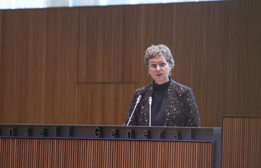 La consellera general socialdemòcrata Susanna Vela va apel·lar als parlamentaris a “pensar més enllà d’un projecte concret”.