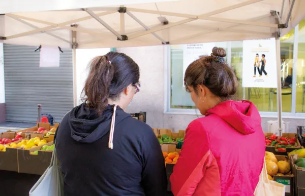 p._13_1_integra_mpirineus