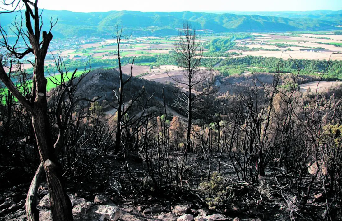 El Roc de Rombau va quedar molt afectat per un incendi l’estiu passat, ara es tracta de recuperar els accessos. 