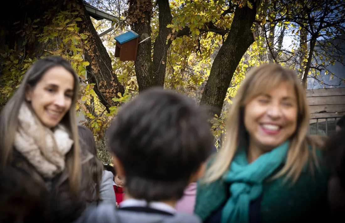 Una dels caixes niu d’ocells que s'han penjat avui a Santa Coloma.