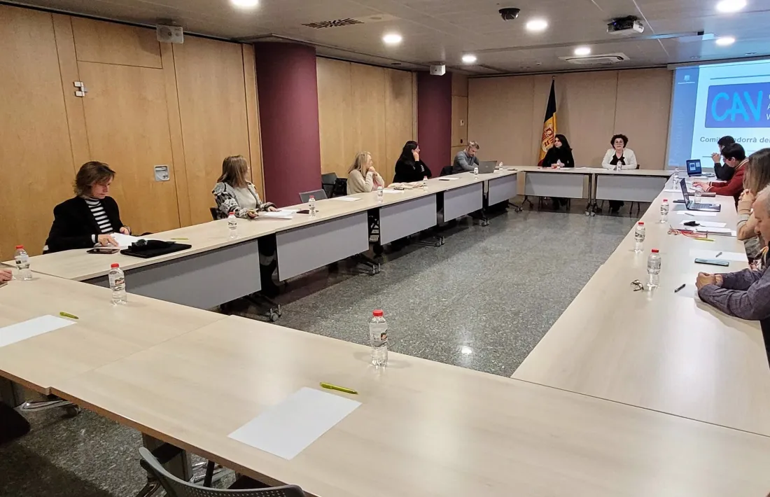 Un moment de la reunió del comitè de voluntariat, avui.