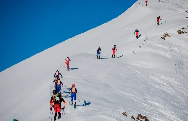 p._36_foto_central_ismf_wc_comapedrosa_individual_3