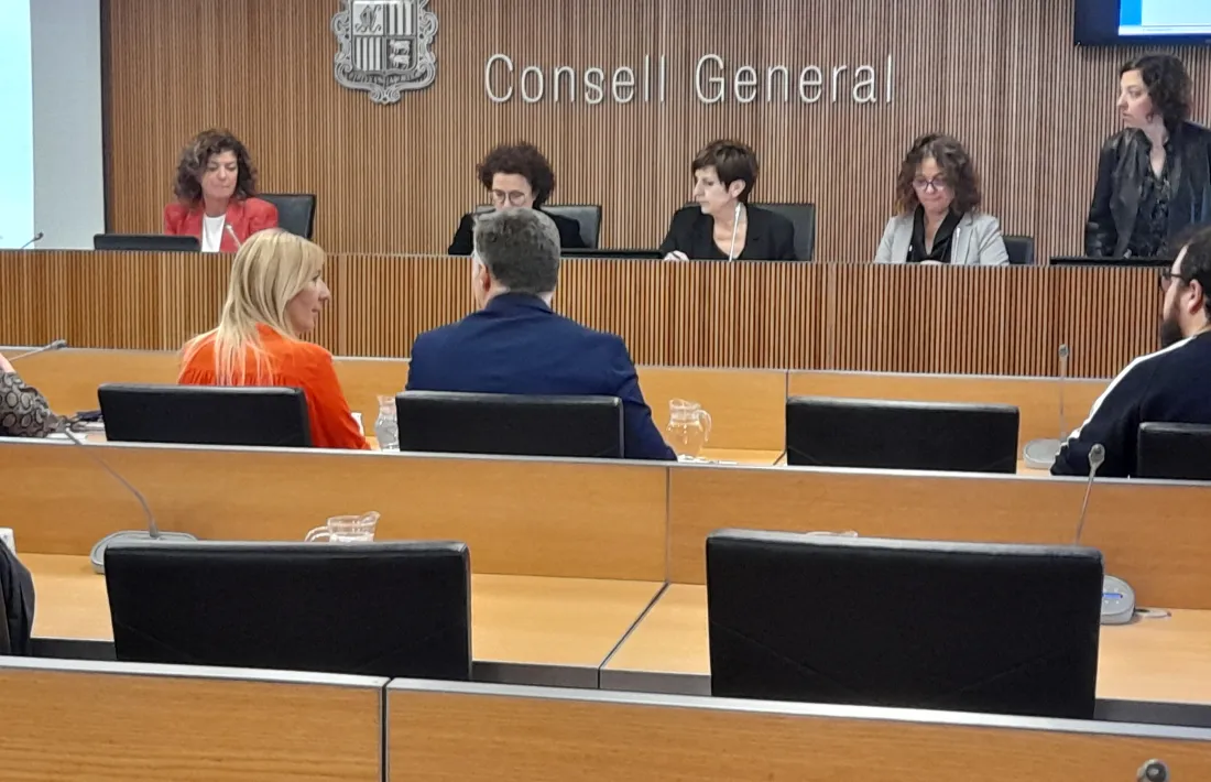 El pla es va presentar a la comissió d'Afers Socials el passat mes de març.