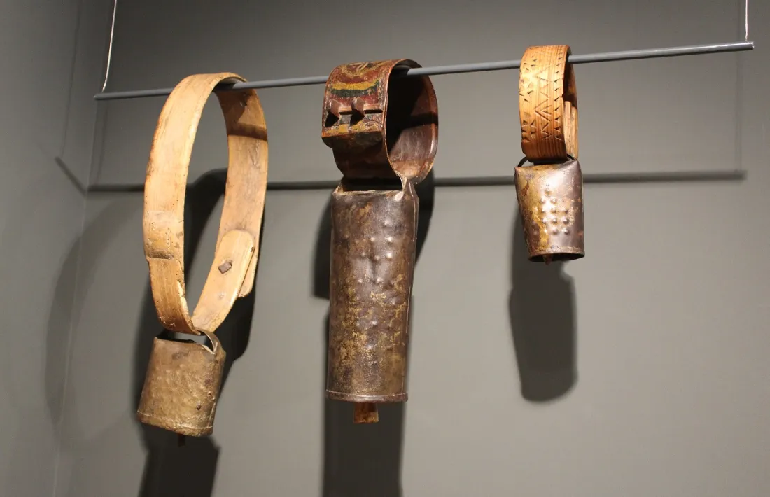 Algunes de les esquelles cedides a l'Espai Ermengol-Museu de la Ciutat. 