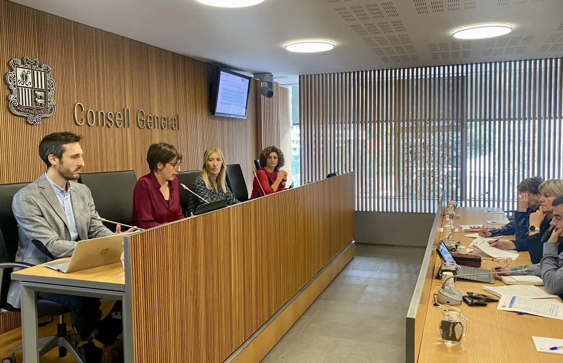 La directora de l’AQUA, Marta Fonolleda, en la darrera compareixença al Consell General.