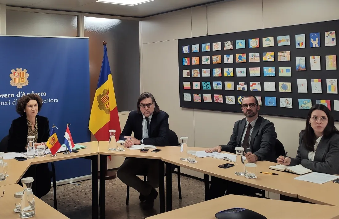 Un instant de la trobada telemàtica, avui.