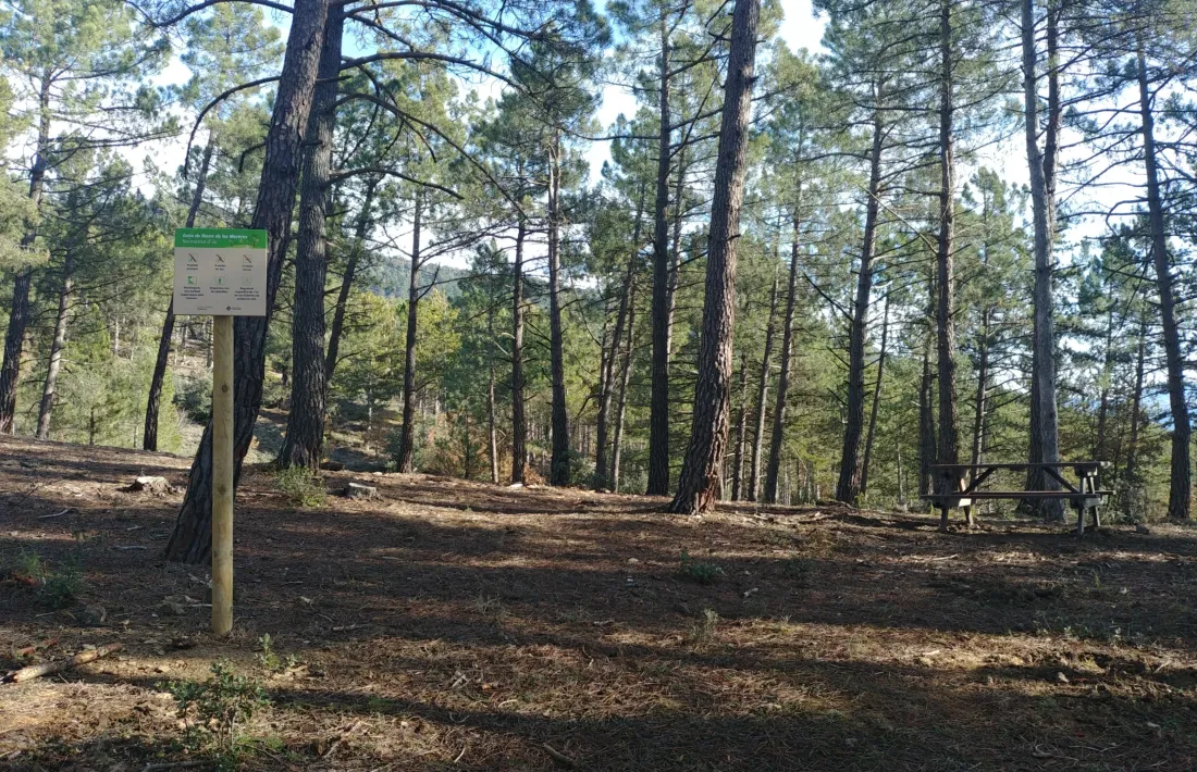 El nou espai de lleure a l'espai natural. 