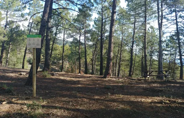 nova_area_de_pic-nic_finca_les_moreres-2