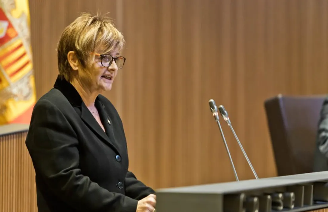 Un moment de la intervenció de la subsíndica, Meritxell Palmitjavila, en la sessió en què es va aprovar l’Estatut del personal.