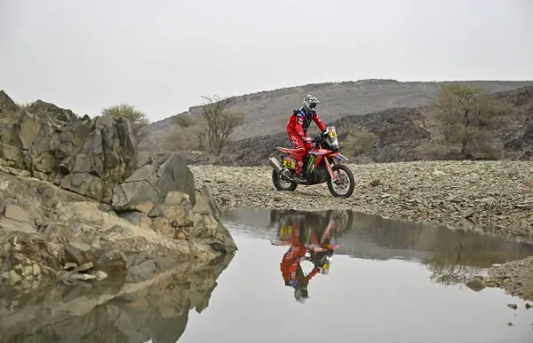 p._29_adrien_van_beveren