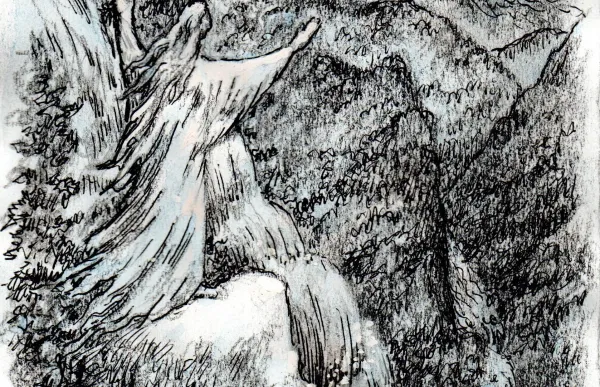 p._14_1_cap_i_b_la_senyoreta