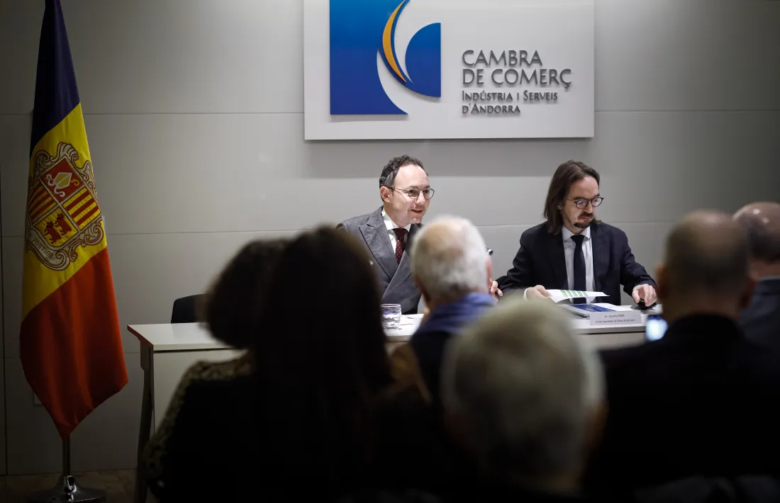 Espot i Riba durant la seva intervenció davant els membres de la Cambra.