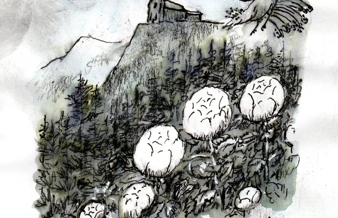 El santuari de Canòlich, amb l’ocell anunciador i les roses de Canòlich, que sembla que tornen a florir per la diada de la Verge, l’últim dissabte de maig.