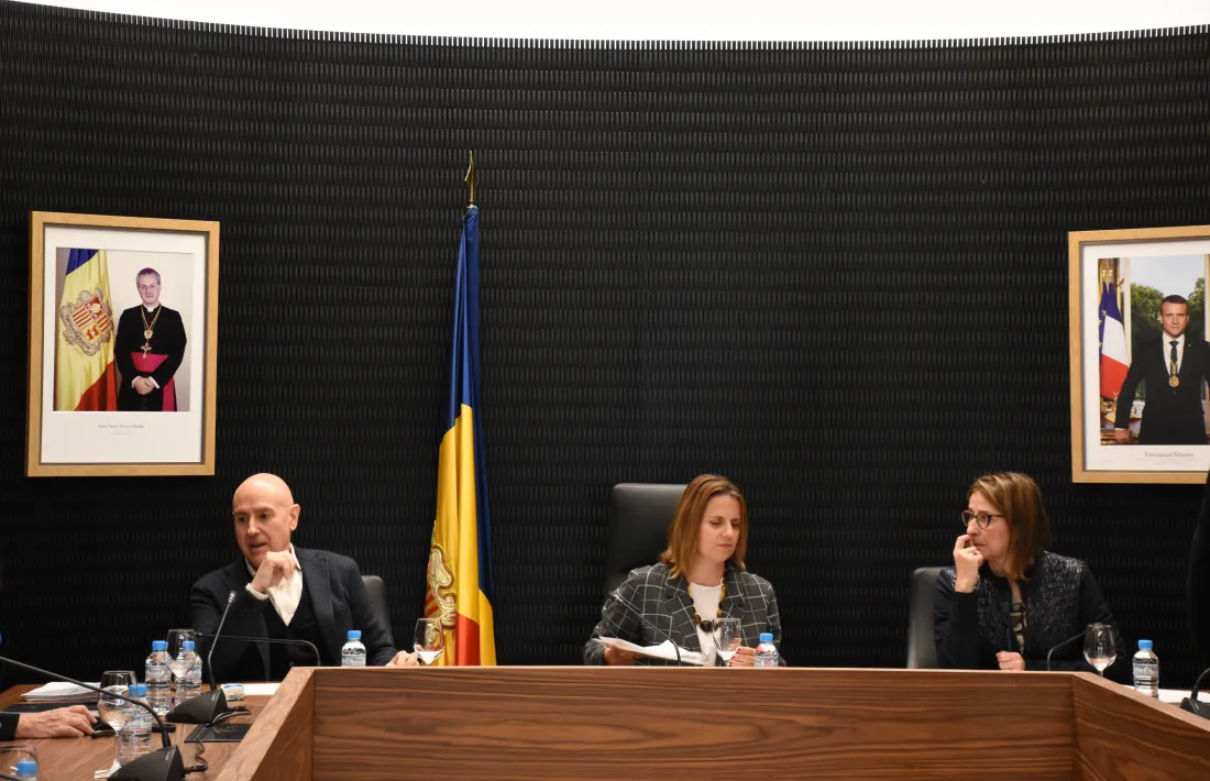 Un moment de la sessió del consell de comú on es va donar el vistiplau al Reglament de la funció pública.