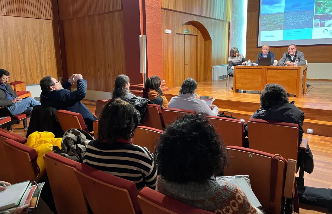 Un moment de la presentació dels ajuts, aquest matí a la Seu. 
