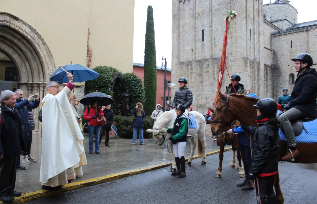 Benedicció dels animals, davant de la catedral de Santa Maria. 