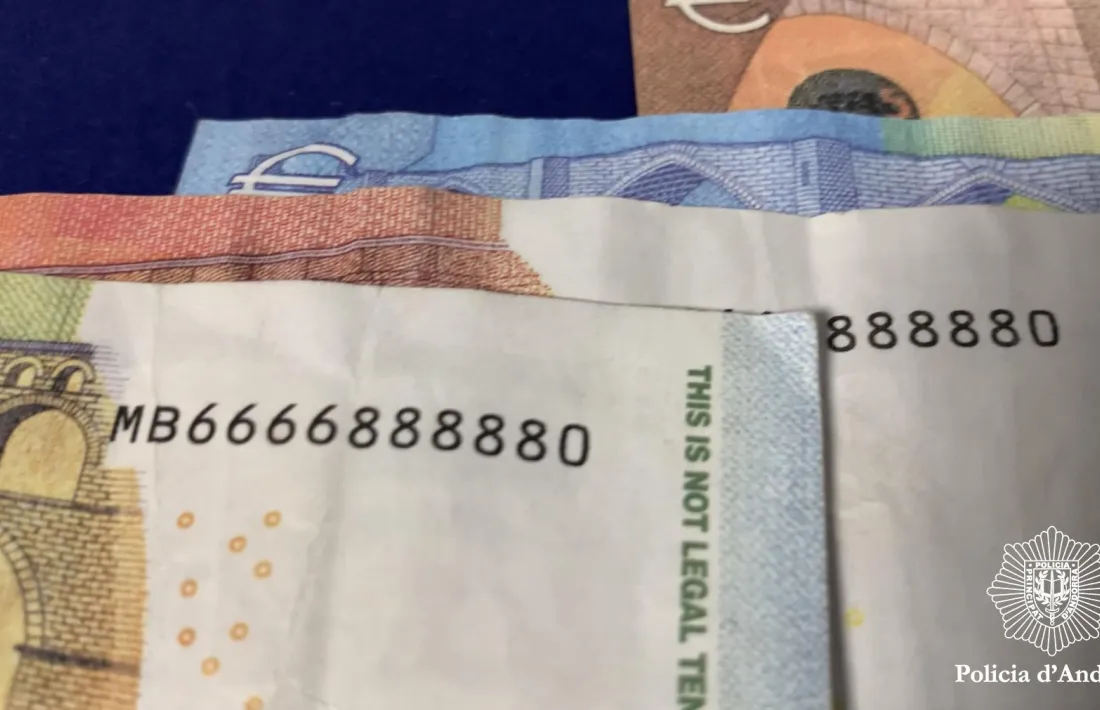 Els bitellets falsos que s'han detectat.