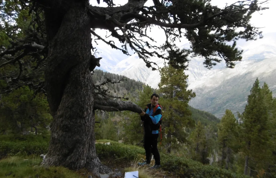 Ot Pasques Vila, amb un dels longeus exemplars que perviuen en el Parc Natural de l’Alt Pirineu. 