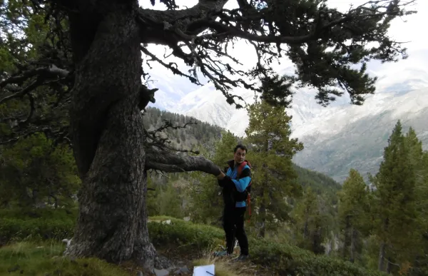 p._14_foto_arbre_ot_pasques_1