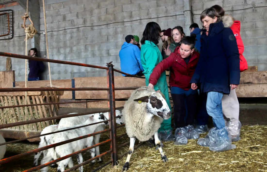 Inici del curs al centre, ubicat a Enviny. 