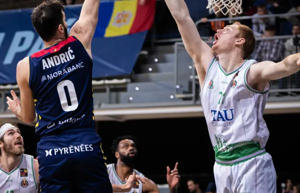 p._29_mihajlo_andric_central