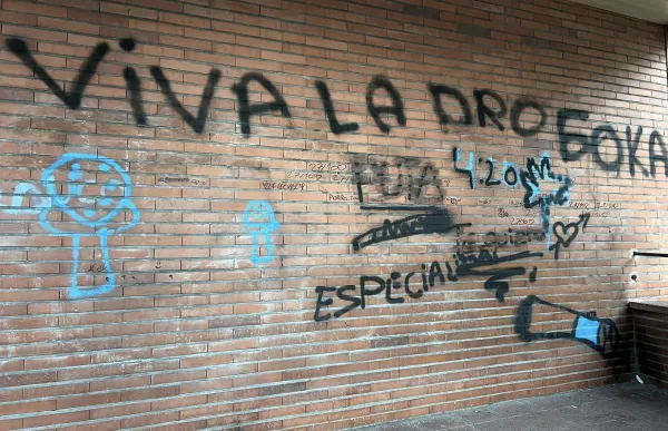 p._15_1_sta_magdalena