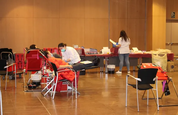 p._11_campanya_-_creu_roja_andorrana