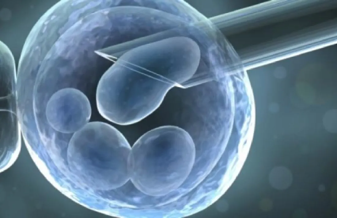 Imatge virtual d’un procés de reproducció humana assistida (RHA).