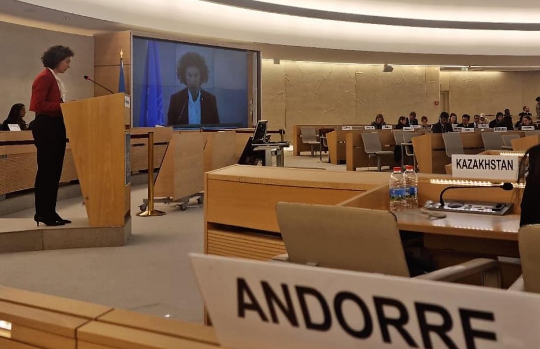 Un moment de la intervenció de Maria Ubach al Consell de Drets Humans.