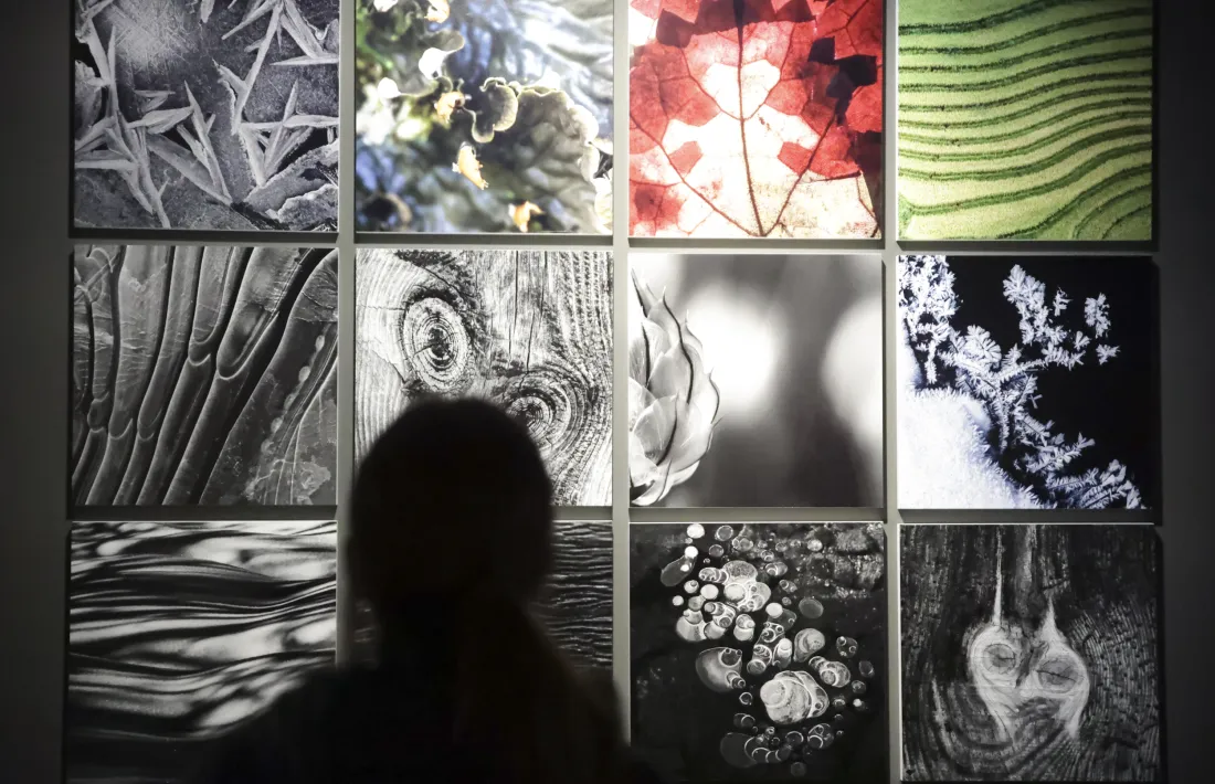 Entretinguin-se amb el coqueteig abstracte de Riba, el més interessant amb el permís dels ‘hereus’.