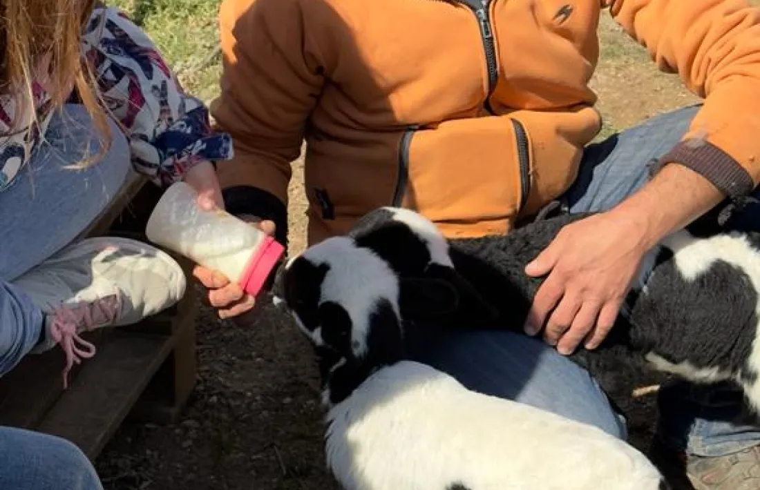 Eloi Arenas amb un dels aninals.