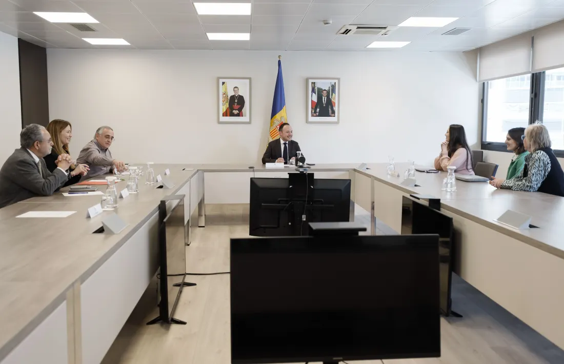 Un instant de la reunió entre psicòlegs i Govern, la setmana passada.