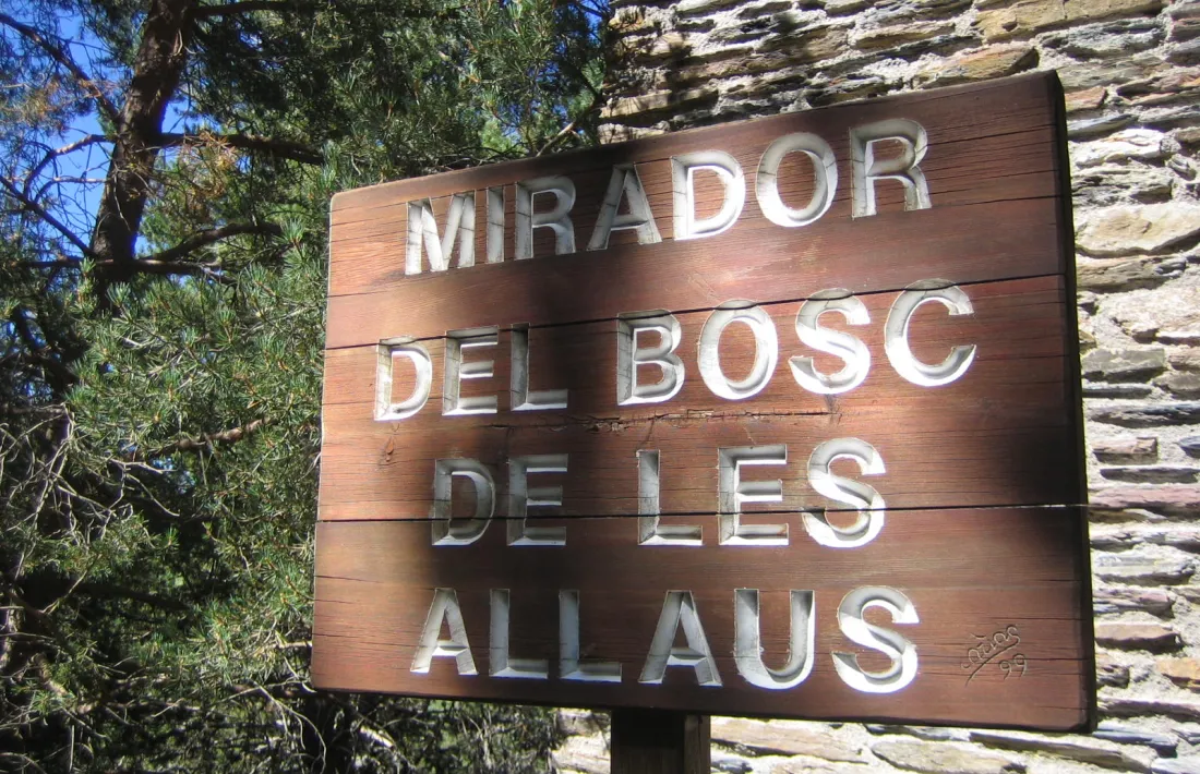 Un topònim ‘transparent’: el mirador del bosc de les Allaus, als Cortals d’Encamp. Però atenció, que poden ser allaus de terra.