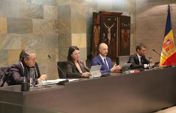 p._18_consell_ordino_-_agencies