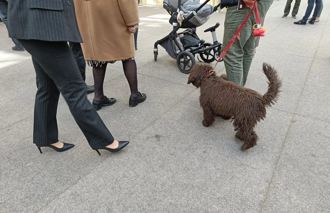 Les mascotes tampoc s'han perdut la jornada de votació.