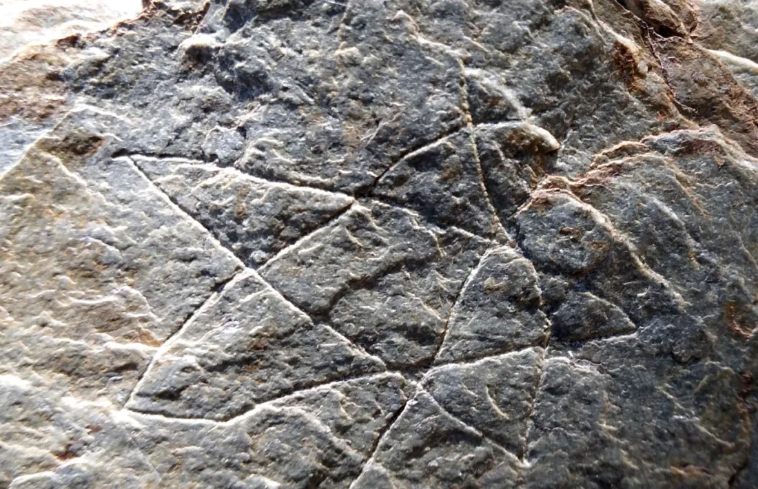 L’estrella de cinc puntes, un clàssic del repertori simbòlic rupestre que Casamajor associa a un antic culte pagà.