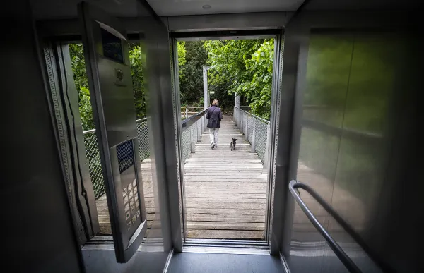 p._13-2_ascensor_comualv