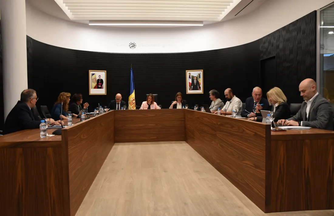 Un moment de la sessió de consell d'aquesta tarda.