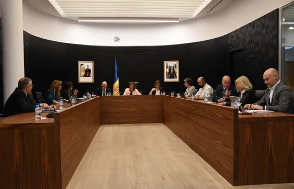 p._14_sesssio_consell_escaldes_-_agencies